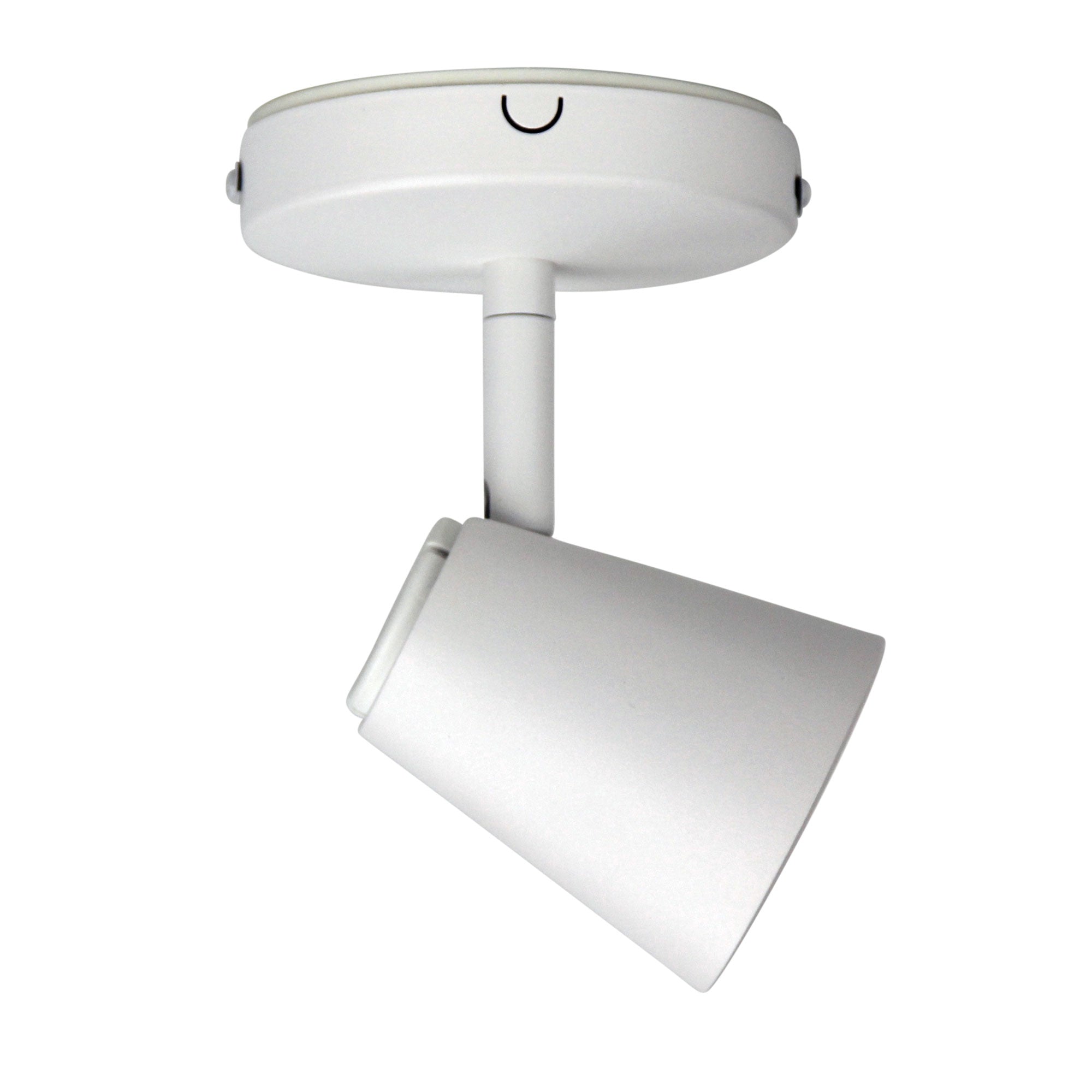 Zoom 1lt Spot Light White