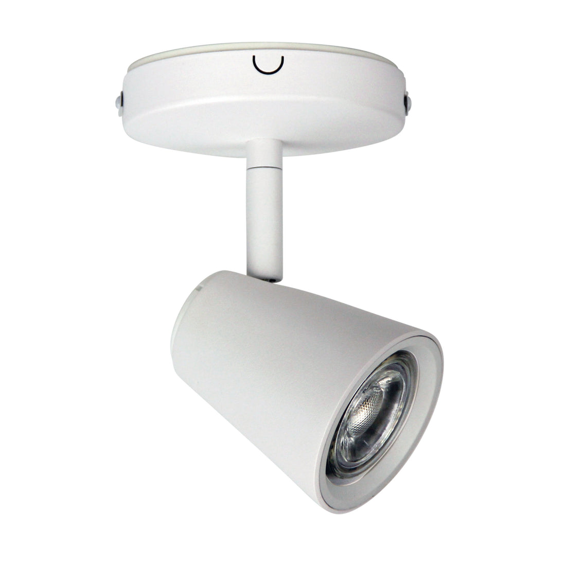 Zoom 1lt Spot Light White