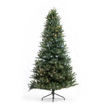 Twinkly 6ft Pre-lit Tree 400 LED String_Generation II_AU Plug - AWW