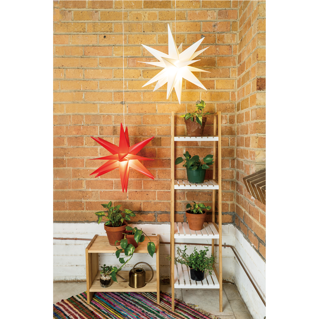 Starburst Hanging Light - Red